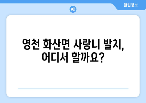 경상북도 영천시 화산면 사랑니 치과 매복 발치 잘하는 곳 비용 | 후기 | 추천