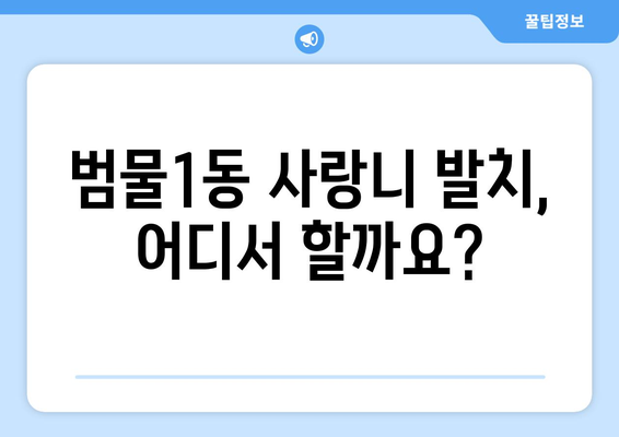 대구시 수성구 범물1동 사랑니 치과 매복 발치 잘하는 곳 비용 | 후기 | 추천