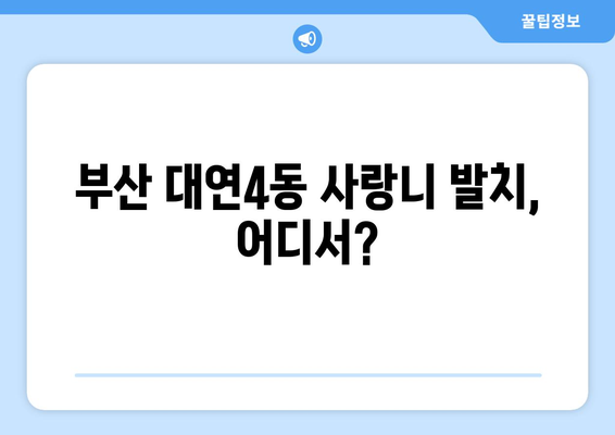 부산시 남구 대연4동 사랑니 치과 매복 발치 잘하는 곳 비용 | 후기 | 추천