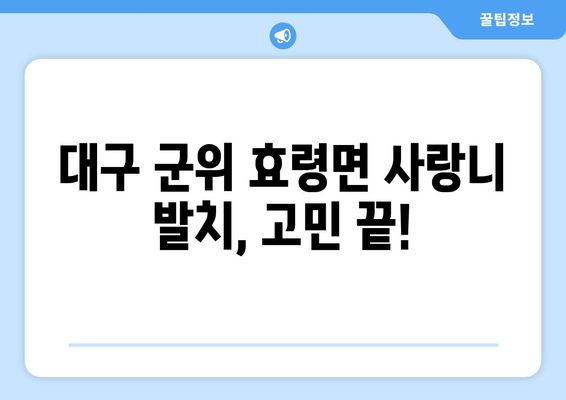 대구시 군위군 효령면 사랑니 치과 매복 발치 잘하는 곳 비용 | 후기 | 추천