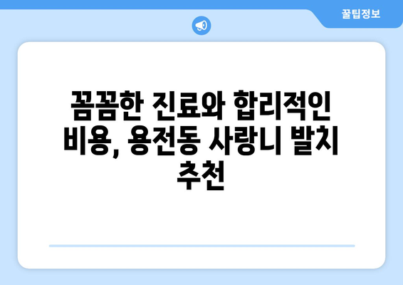 대전시 동구 용전동 사랑니 치과 매복 발치 잘하는 곳 비용 | 후기 | 추천