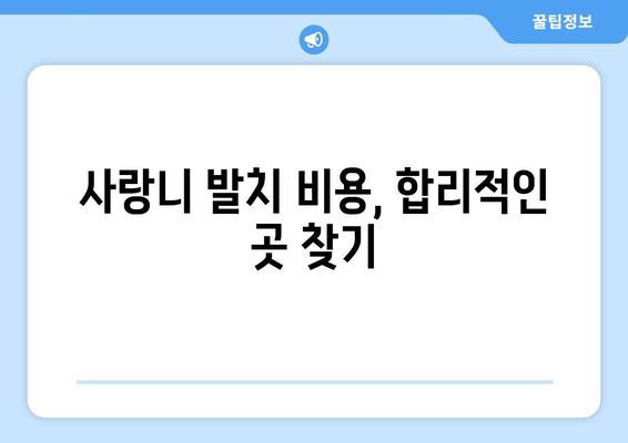 대구시 군위군 군위읍 사랑니 치과 매복 발치 잘하는 곳 비용 | 후기 | 추천