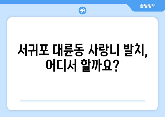 제주도 서귀포시 대륜동 사랑니 치과 매복 발치 잘하는 곳 비용 | 후기 | 추천