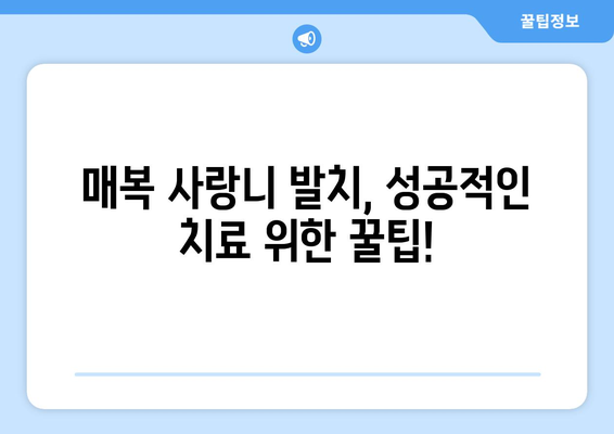 경상북도 경주시 황오동 사랑니 치과 매복 발치 잘하는 곳 비용 | 후기 | 추천