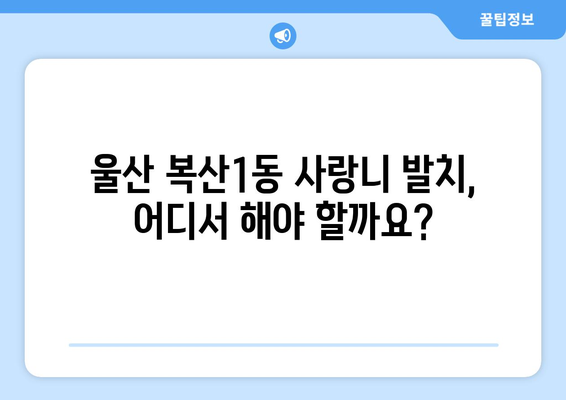 울산시 중구 복산1동 사랑니 치과 매복 발치 잘하는 곳 비용 | 후기 | 추천