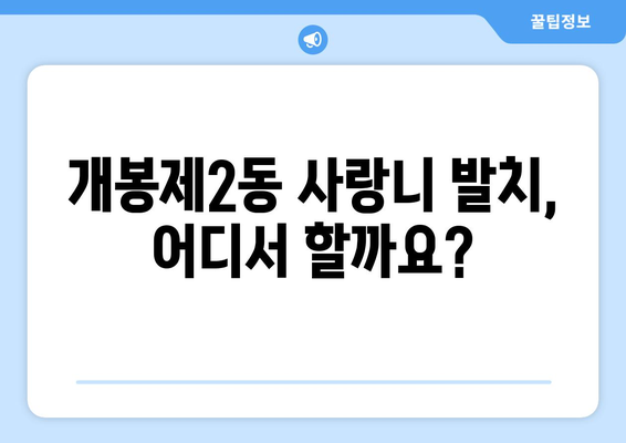 서울시 구로구 개봉제2동 사랑니 치과 매복 발치 잘하는 곳 비용 | 후기 | 추천