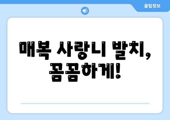 대전시 중구 태평1동 사랑니 치과 매복 발치 잘하는 곳 비용 | 후기 | 추천