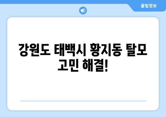 강원도 태백시 황지동 모바일식 탈모치료 잘하는곳 두피관리 추천 베스트 헤어라인 정수리 비용 후기