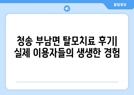 경상북도 청송군 부남면 모바일식 탈모치료 잘하는곳 두피관리 추천 베스트 헤어라인 정수리 비용 후기