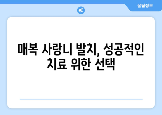 서울시 은평구 신사제2동 사랑니 치과 매복 발치 잘하는 곳 비용 | 후기 | 추천