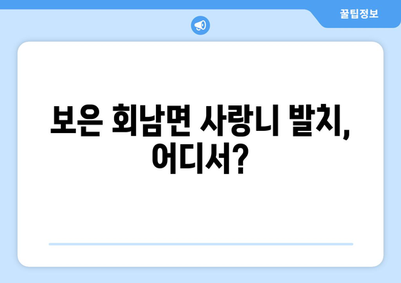 충청북도 보은군 회남면 사랑니 치과 매복 발치 잘하는 곳 비용 | 후기 | 추천