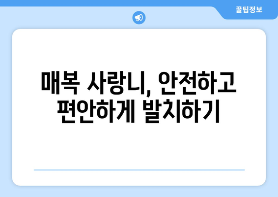 대전시 중구 유천2동 사랑니 치과 매복 발치 잘하는 곳 비용 | 후기 | 추천