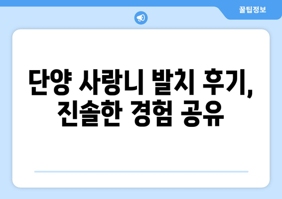 충청북도 단양군 단양읍 사랑니 치과 매복 발치 잘하는 곳 비용 | 후기 | 추천