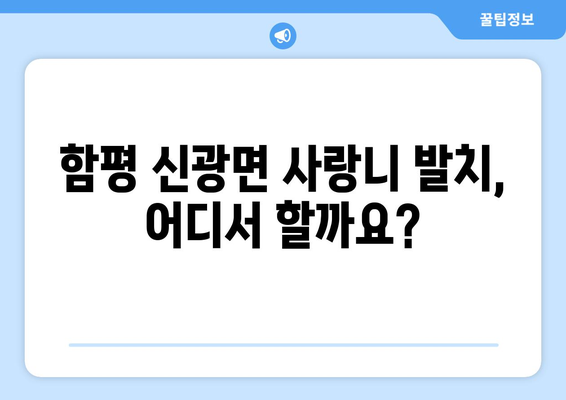 전라남도 함평군 신광면 사랑니 치과 매복 발치 잘하는 곳 비용 | 후기 | 추천