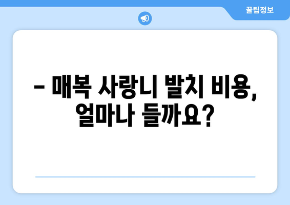 세종시 세종특별자치시 한솔동 사랑니 치과 매복 발치 잘하는 곳 비용 | 후기 | 추천