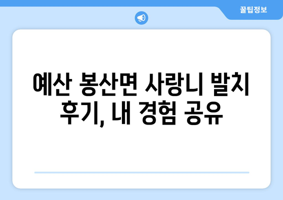 충청남도 예산군 봉산면 사랑니 치과 매복 발치 잘하는 곳 비용 | 후기 | 추천