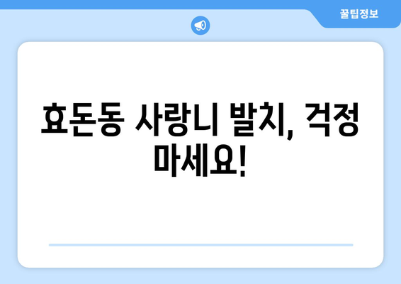 제주도 서귀포시 효돈동 사랑니 치과 매복 발치 잘하는 곳 비용 | 후기 | 추천