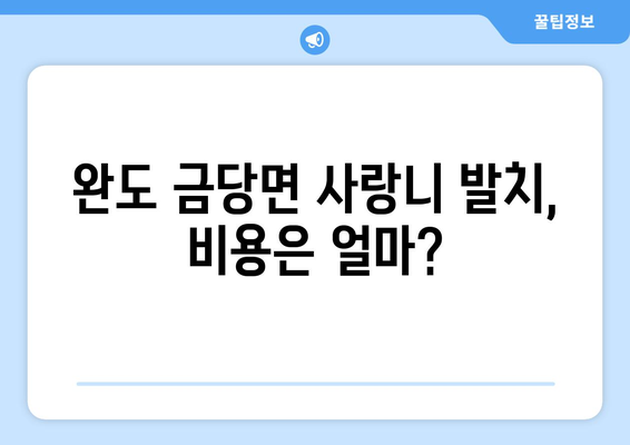 전라남도 완도군 금당면 사랑니 치과 매복 발치 잘하는 곳 비용 | 후기 | 추천
