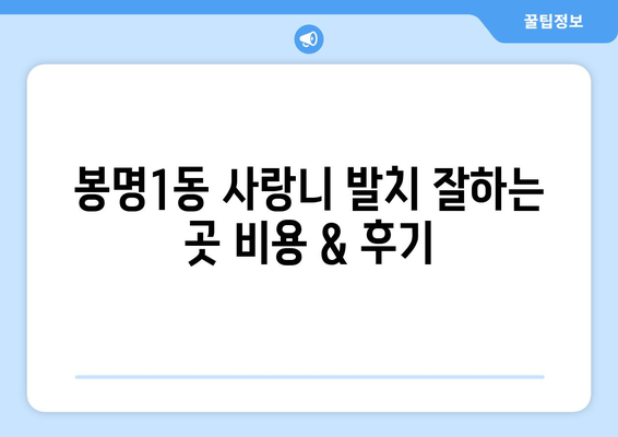 충청북도 청주시 흥덕구 봉명1동 사랑니 치과 매복 발치 잘하는 곳 비용 | 후기 | 추천