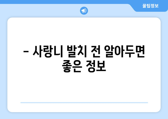 전라북도 군산시 미성동 사랑니 치과 매복 발치 잘하는 곳 비용 | 후기 | 추천