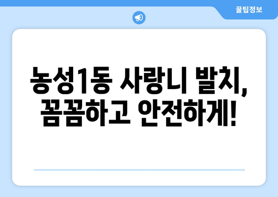 광주시 서구 농성1동 사랑니 치과 매복 발치 잘하는 곳 비용 | 후기 | 추천