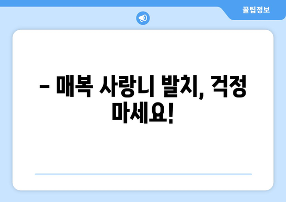 서울시 용산구 효창동 사랑니 치과 매복 발치 잘하는 곳 비용 | 후기 | 추천
