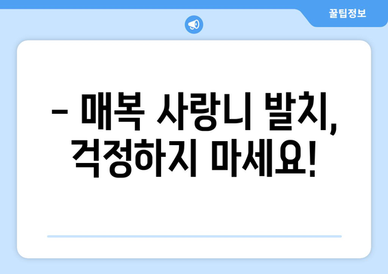 경상북도 영덕군 병곡면 사랑니 치과 매복 발치 잘하는 곳 비용 | 후기 | 추천