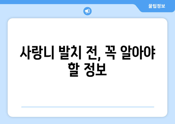 충청북도 충주시 앙성면 사랑니 치과 매복 발치 잘하는 곳 비용 | 후기 | 추천