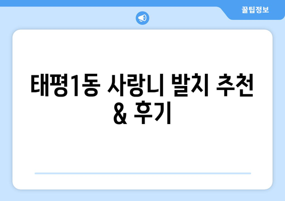 대전시 중구 태평1동 사랑니 치과 매복 발치 잘하는 곳 비용 | 후기 | 추천
