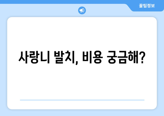 대전시 중구 태평1동 사랑니 치과 매복 발치 잘하는 곳 비용 | 후기 | 추천