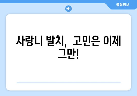 서울시 은평구 증산동 사랑니 치과 매복 발치 잘하는 곳 비용 | 후기 | 추천