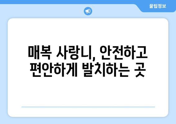 경상남도 하동군 횡천면 사랑니 치과 매복 발치 잘하는 곳 비용 | 후기 | 추천