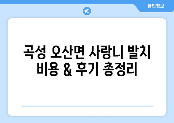 전라남도 곡성군 오산면 사랑니 치과 매복 발치 잘하는 곳 비용 | 후기 | 추천