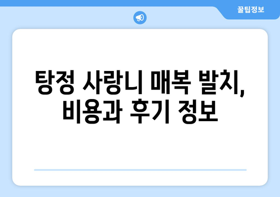 충청남도 아산시 탕정면 사랑니 치과 매복 발치 잘하는 곳 비용 | 후기 | 추천