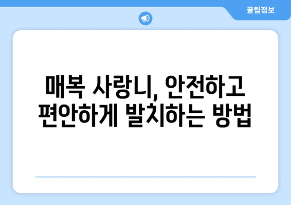 광주시 광산구 월곡2동 사랑니 치과 매복 발치 잘하는 곳 비용 | 후기 | 추천