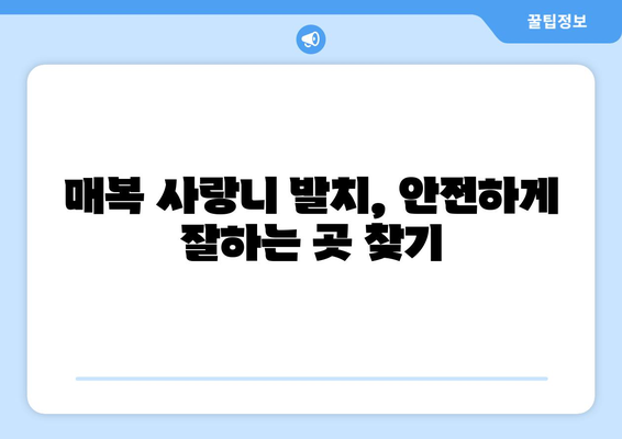 경기도 여주시 대신면 사랑니 치과 매복 발치 잘하는 곳 비용 | 후기 | 추천