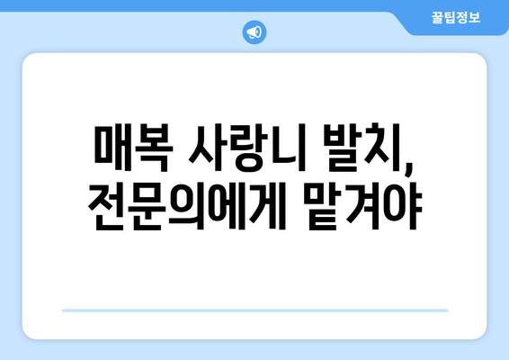 충청남도 청양군 목면 사랑니 치과 매복 발치 잘하는 곳 비용 | 후기 | 추천