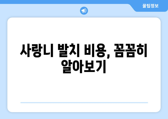 대전시 유성구 온천2동 사랑니 치과 매복 발치 잘하는 곳 비용 | 후기 | 추천