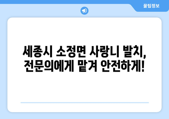 세종시 세종특별자치시 소정면 사랑니 치과 매복 발치 잘하는 곳 비용 | 후기 | 추천