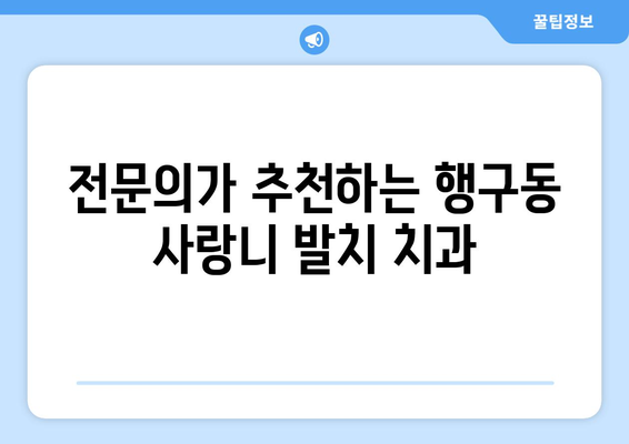 강원도 원주시 행구동 사랑니 치과 매복 발치 잘하는 곳 비용 | 후기 | 추천
