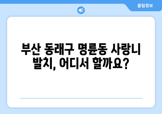 부산시 동래구 명륜동 사랑니 치과 매복 발치 잘하는 곳 비용 | 후기 | 추천