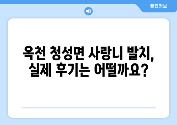 충청북도 옥천군 청성면 사랑니 치과 매복 발치 잘하는 곳 비용 | 후기 | 추천