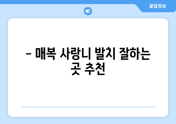 전라북도 군산시 미성동 사랑니 치과 매복 발치 잘하는 곳 비용 | 후기 | 추천