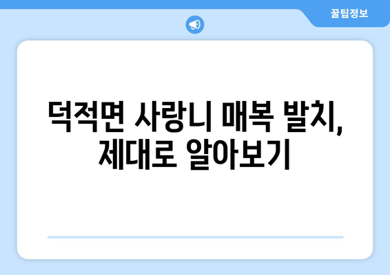 인천시 옹진군 덕적면 사랑니 치과 매복 발치 잘하는 곳 비용 | 후기 | 추천