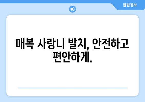 경상북도 상주시 동성동 사랑니 치과 매복 발치 잘하는 곳 비용 | 후기 | 추천