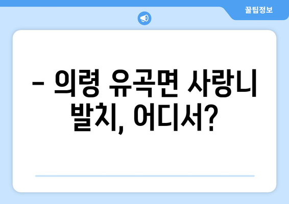 경상남도 의령군 유곡면 사랑니 치과 매복 발치 잘하는 곳 비용 | 후기 | 추천