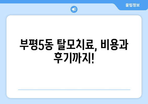 인천시 부평구 부평5동 모바일식 탈모치료 잘하는곳 두피관리 추천 베스트 헤어라인 정수리 비용 후기