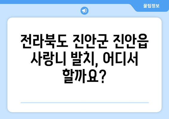 전라북도 진안군 진안읍 사랑니 치과 매복 발치 잘하는 곳 비용 | 후기 | 추천