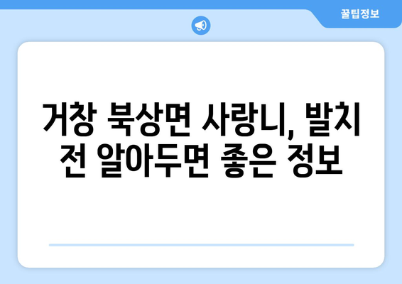 경상남도 거창군 북상면 사랑니 치과 매복 발치 잘하는 곳 비용 | 후기 | 추천