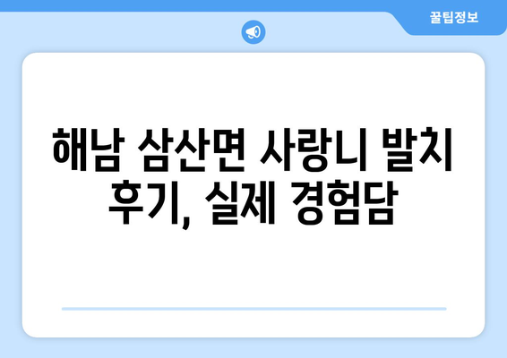 전라남도 해남군 삼산면 사랑니 치과 매복 발치 잘하는 곳 비용 | 후기 | 추천